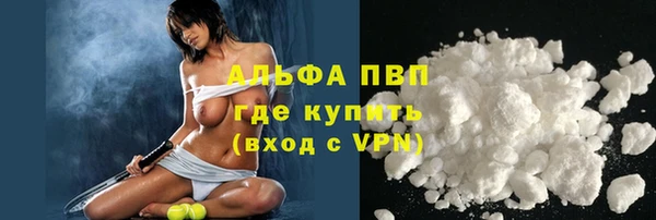 прущие грибы Богородицк