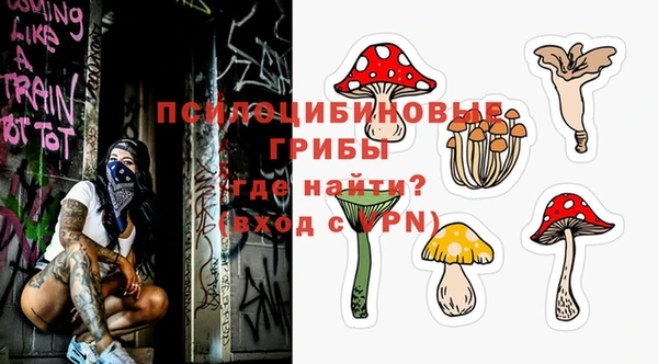 гидра Балахна