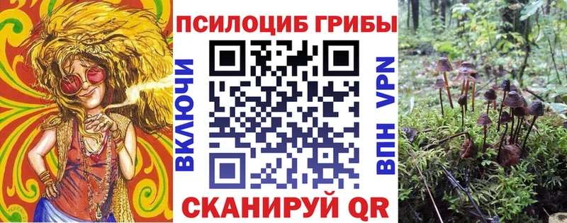 Псилоцибиновые грибы Psilocybe  Хилок 